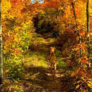 Meet your Posher, Kendra